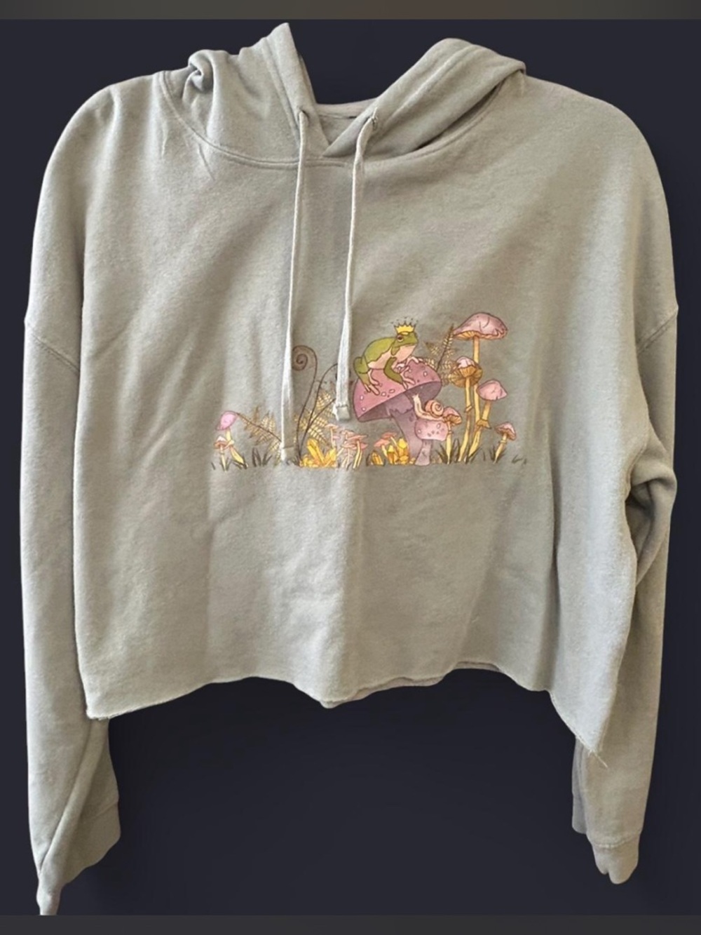Oka Studio Designs “crown frog” cropped hoodie Size large